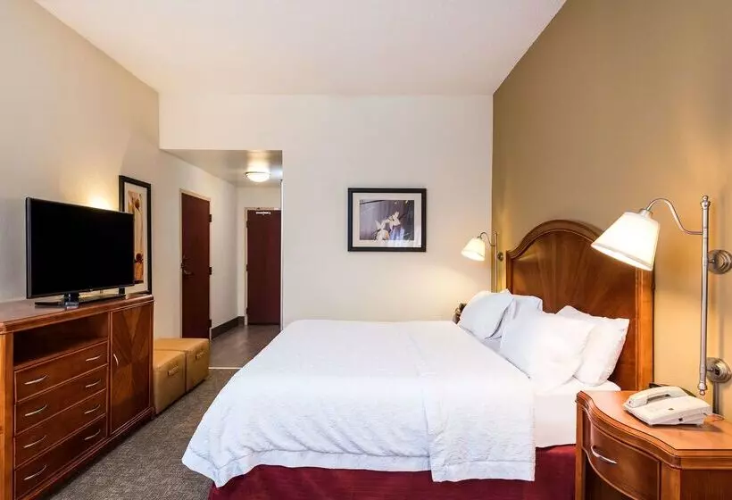 هتل Hampton Inn Roanoke/hollins I81
