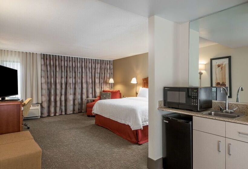 Otel Hampton Inn Roanoke/hollins  I81