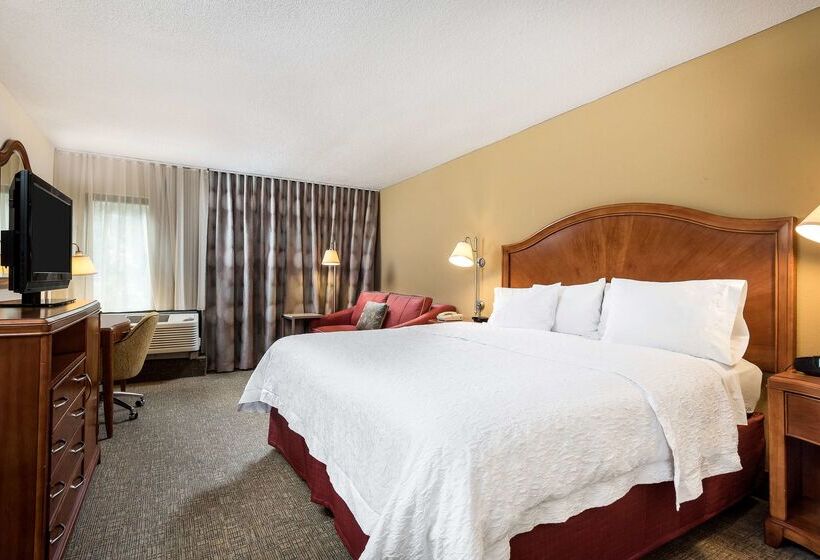 Otel Hampton Inn Roanoke/hollins  I81