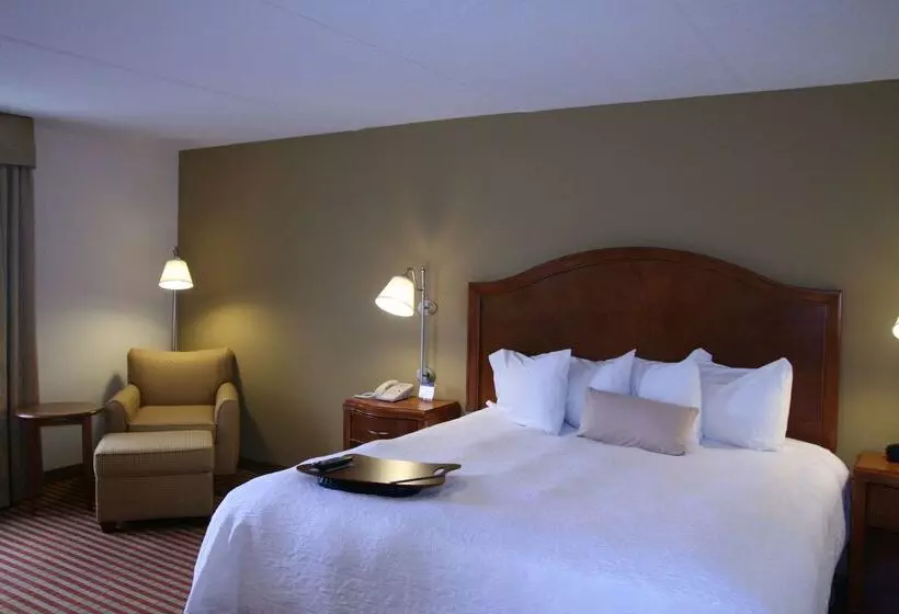 هتل Hampton Inn Roanoke/hollins I81