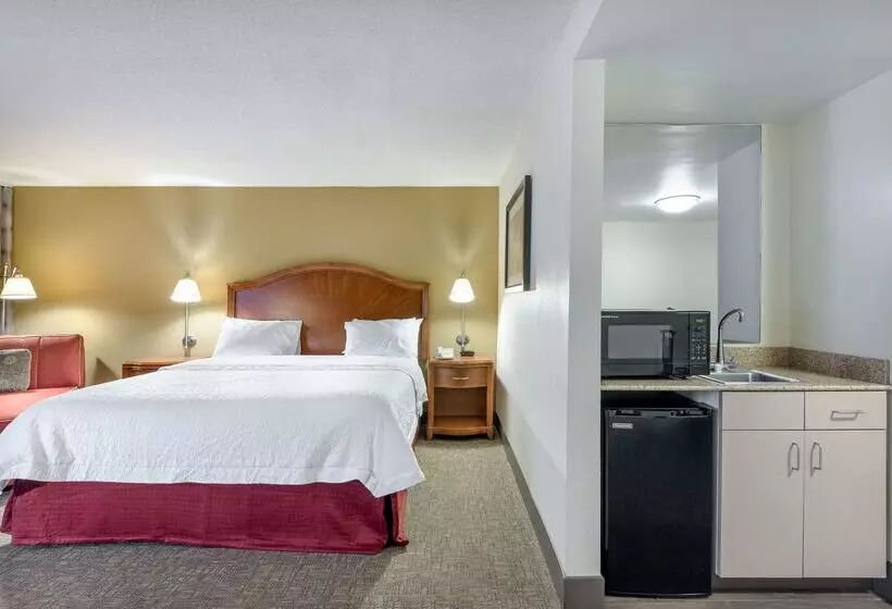 هتل Hampton Inn Roanoke/hollins I81
