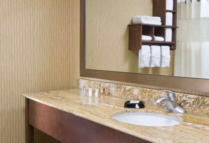 ホテル Hampton Inn San Angelo