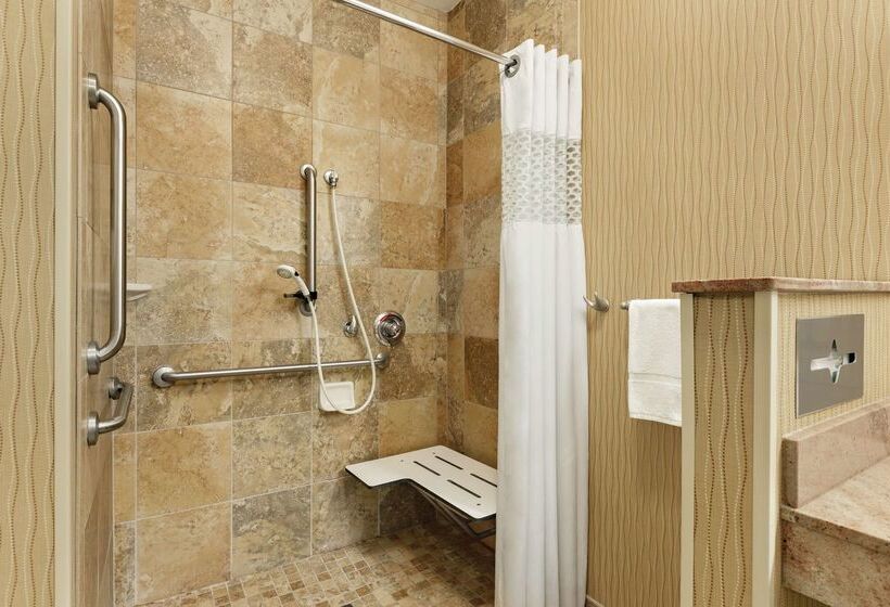 בית מלון כפרי Hampton Inn San Angelo