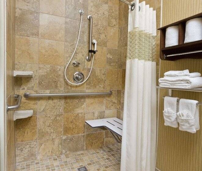 בית מלון כפרי Hampton Inn San Angelo