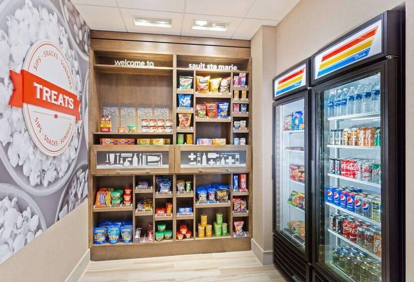 هتل Hampton Inn Sault Ste Marie