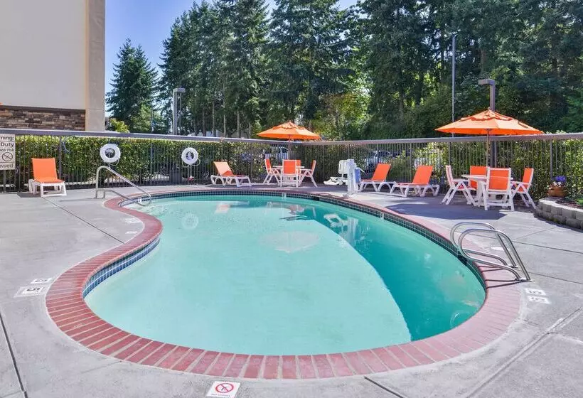 酒店 Hampton Inn Seattle Airport