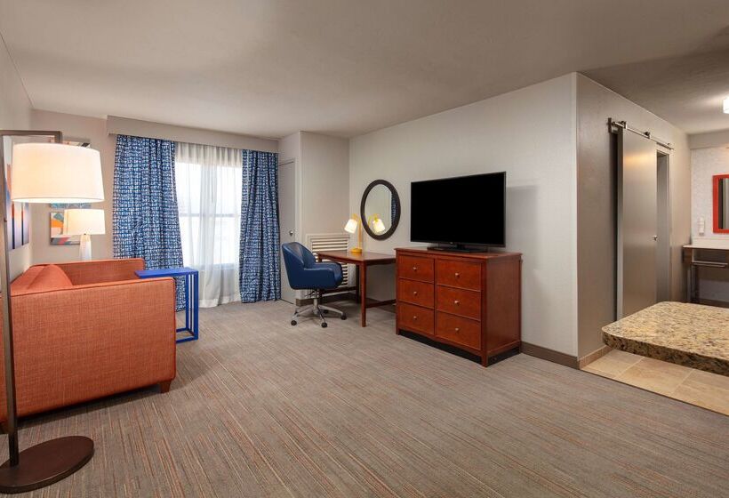 فندق Hampton Inn & Suites El Pasoairport