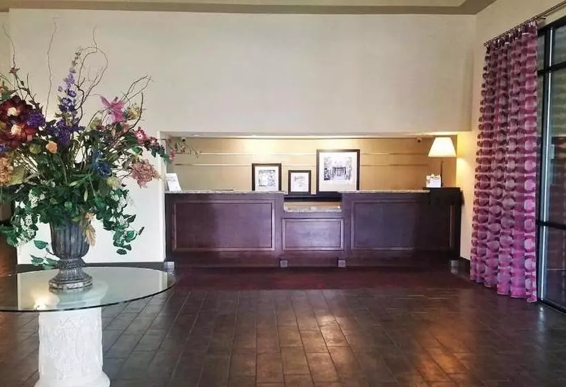 호텔 Orlando Palms