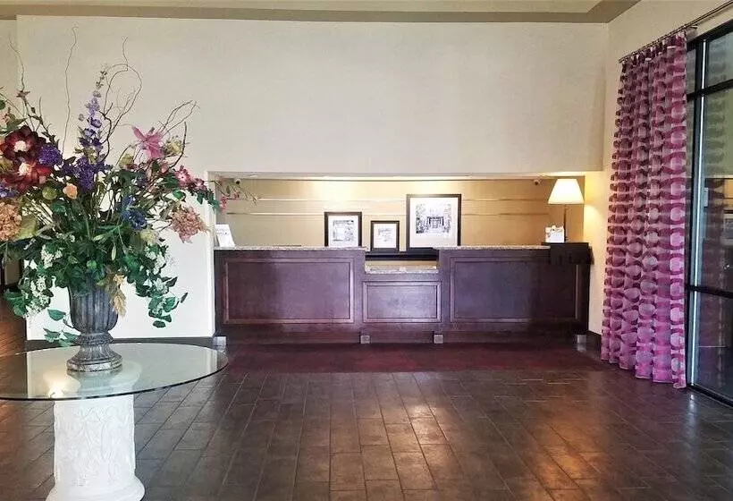 호텔 Orlando Palms