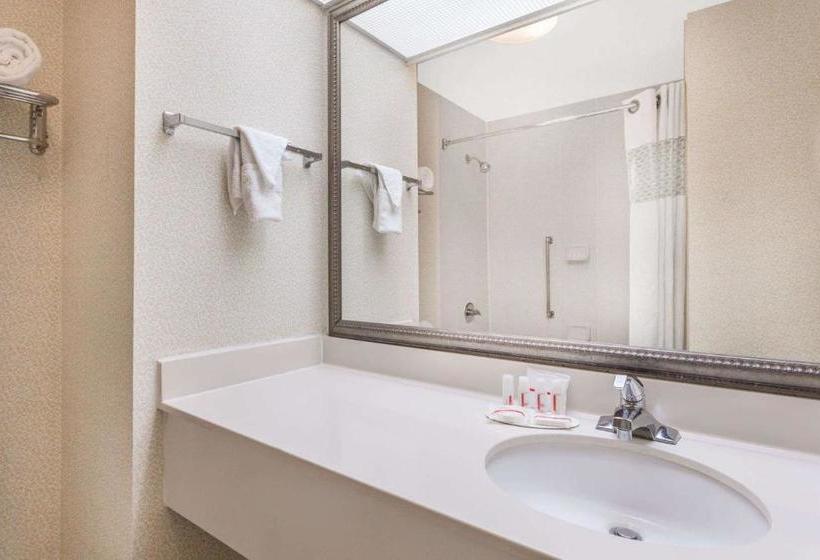 Otel Rome Inn And Suites