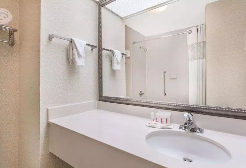 호텔 Rome Inn And Suites