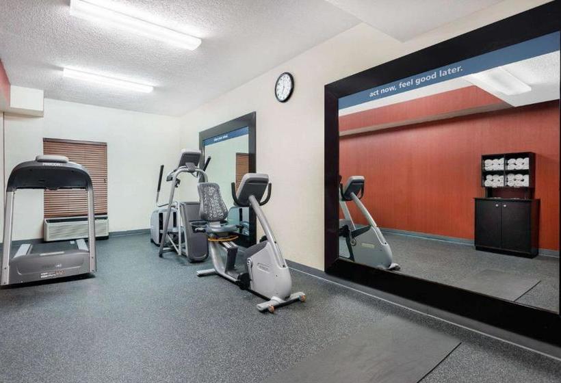 Otel Rome Inn And Suites