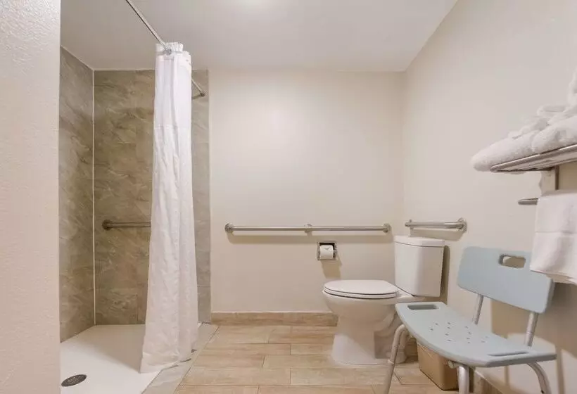 Surestay Hotel By Best Western St. Pete Clearwater Airport