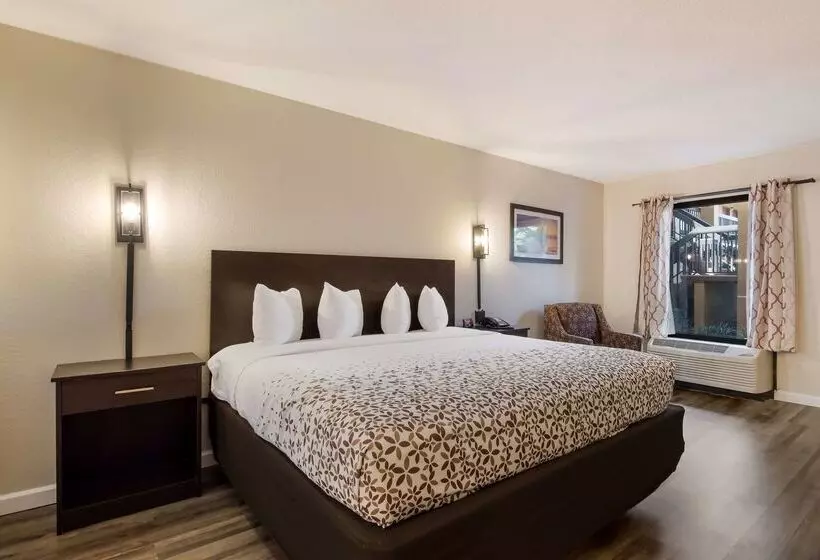 Surestay Hotel By Best Western St. Pete Clearwater Airport