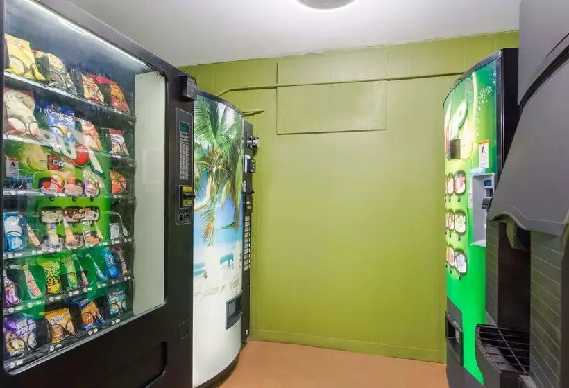 Surestay Hotel By Best Western St. Pete Clearwater Airport