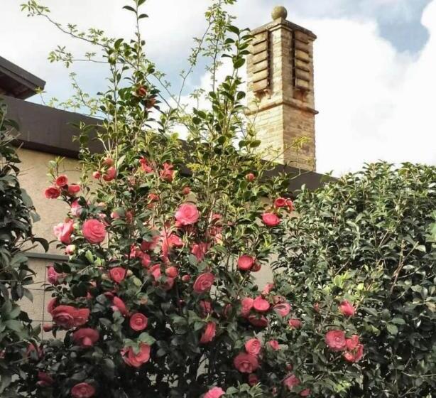 住宿加早餐  Damabianca