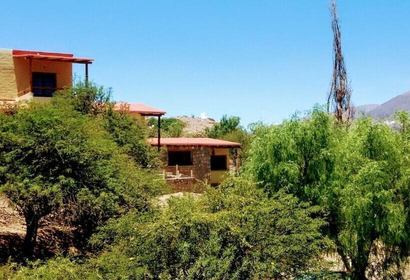 בית מלון כפרי La Quinta De María  Tilcara
