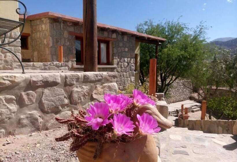 בית מלון כפרי La Quinta De María  Tilcara