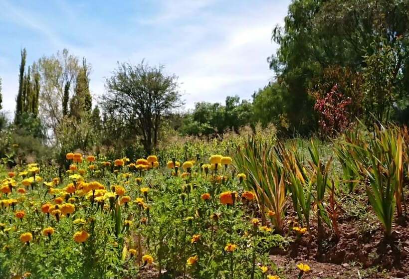 בית מלון כפרי La Quinta De María  Tilcara
