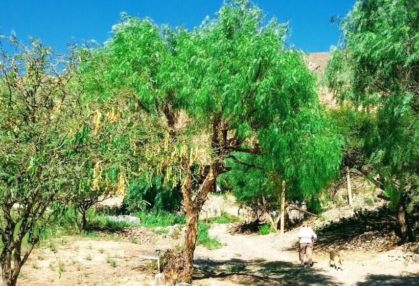 בית מלון כפרי La Quinta De María  Tilcara