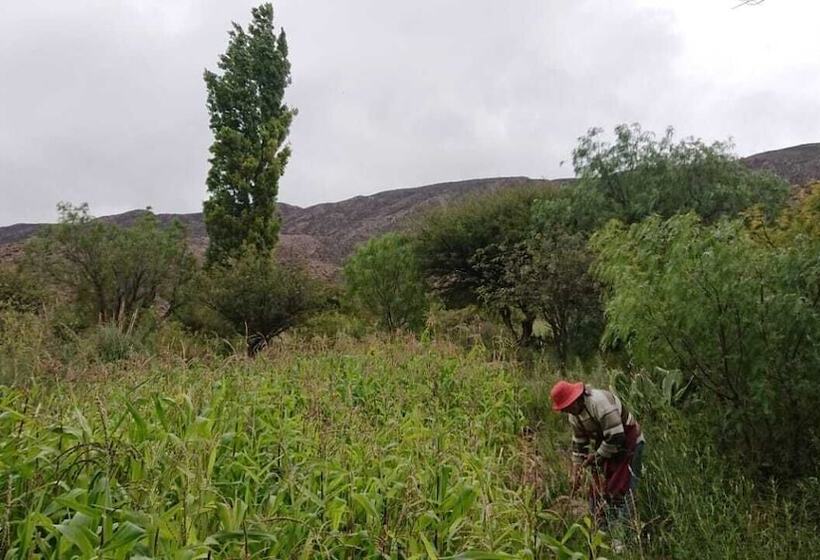 בית מלון כפרי La Quinta De María  Tilcara