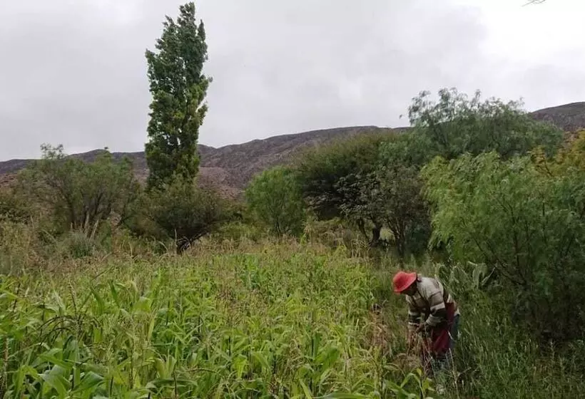 Hotelli La Quinta De María  Tilcara