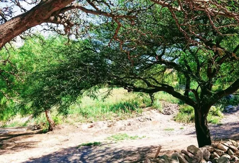 Hotelli La Quinta De María  Tilcara