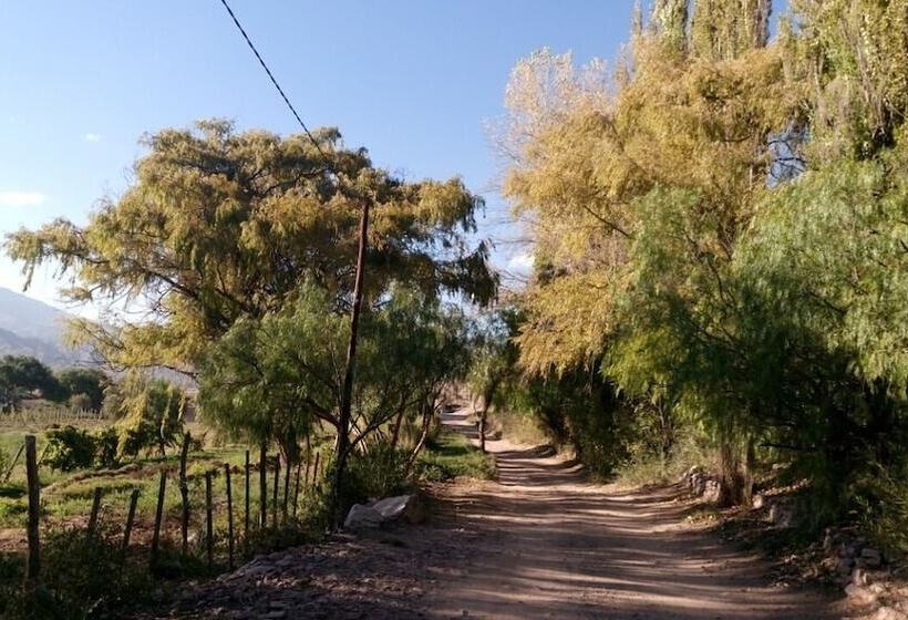 בית מלון כפרי La Quinta De María  Tilcara