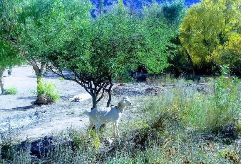 בית מלון כפרי La Quinta De María  Tilcara