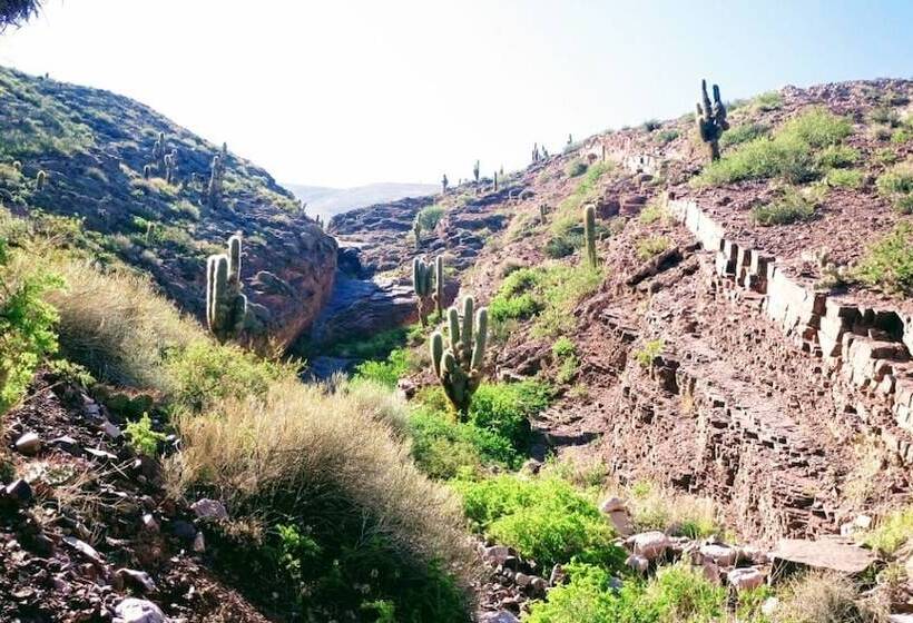 בית מלון כפרי La Quinta De María  Tilcara