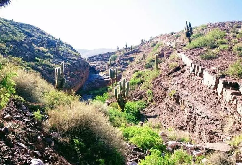 Hotelli La Quinta De María  Tilcara