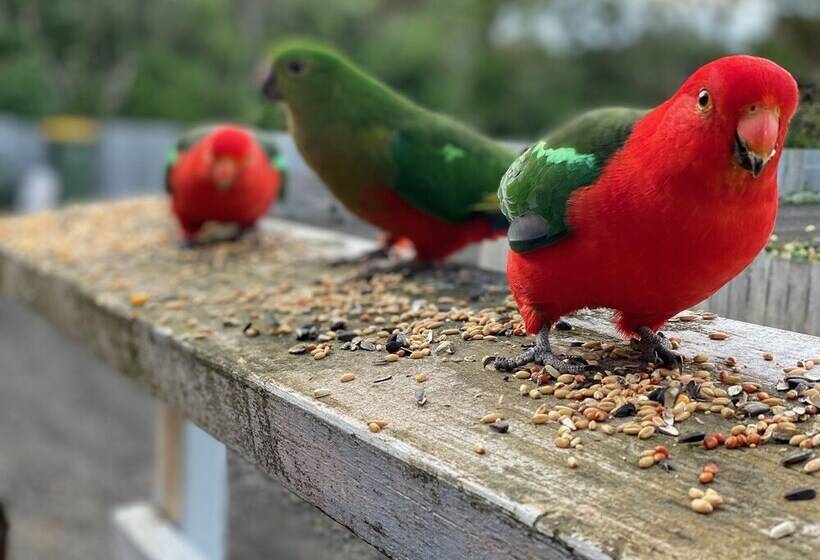 Отель Seacroft Estate