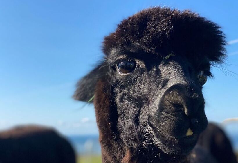 Отель Seacroft Estate