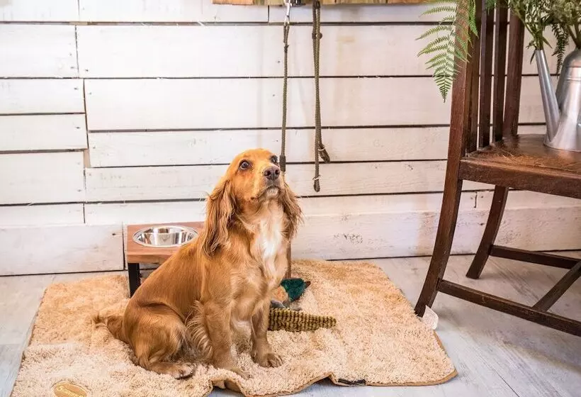 James  Place @ Pontmorlais