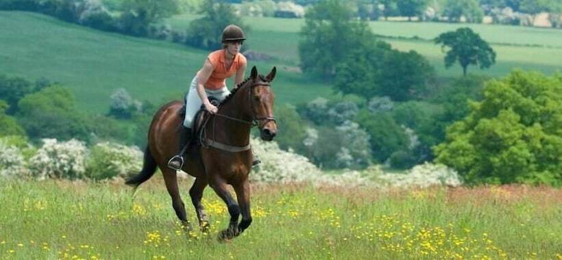 The Old Rectory B&b   Adults Only