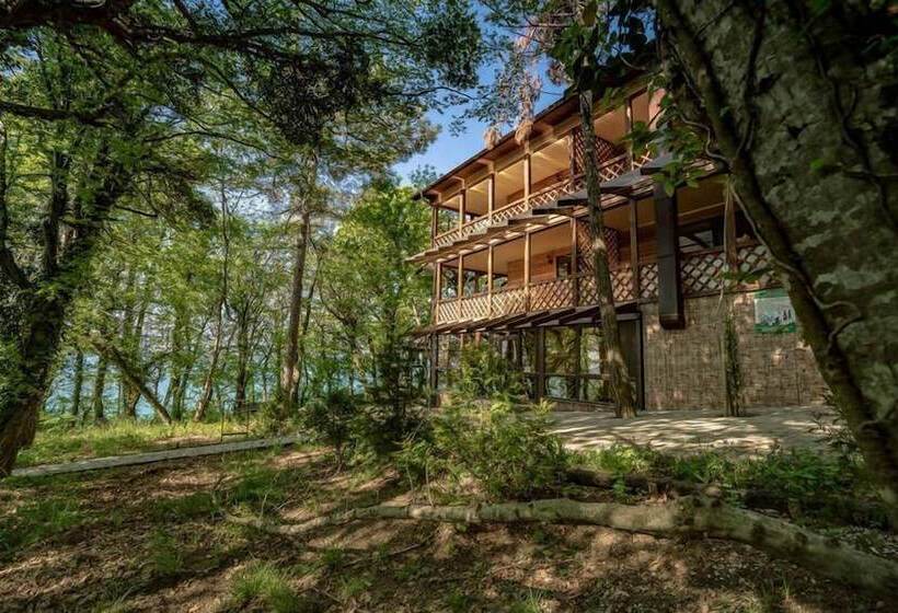 בית מלון כפרי Green Wood