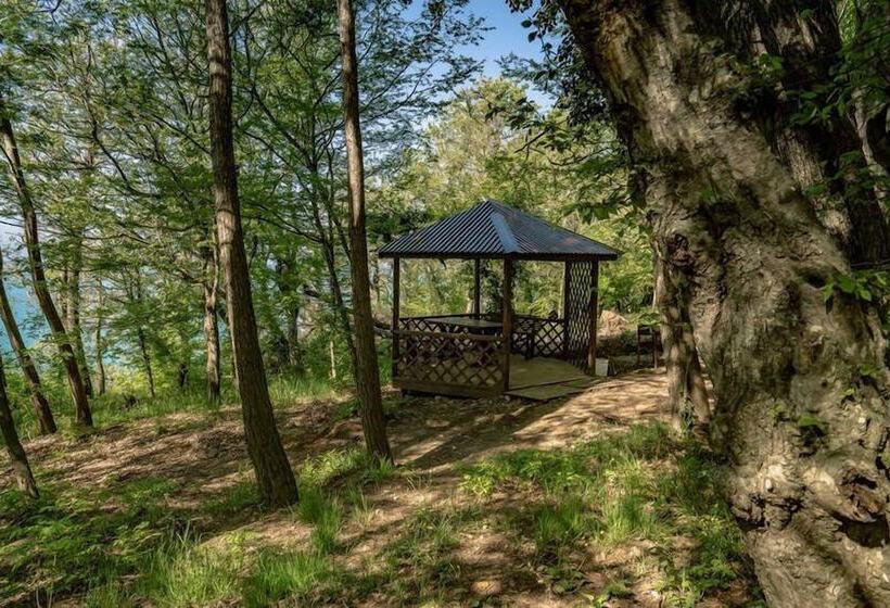 בית מלון כפרי Green Wood