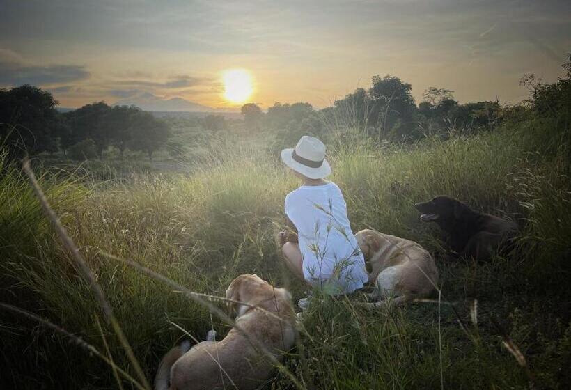 Отель Villa Alba Bali Dive Resort