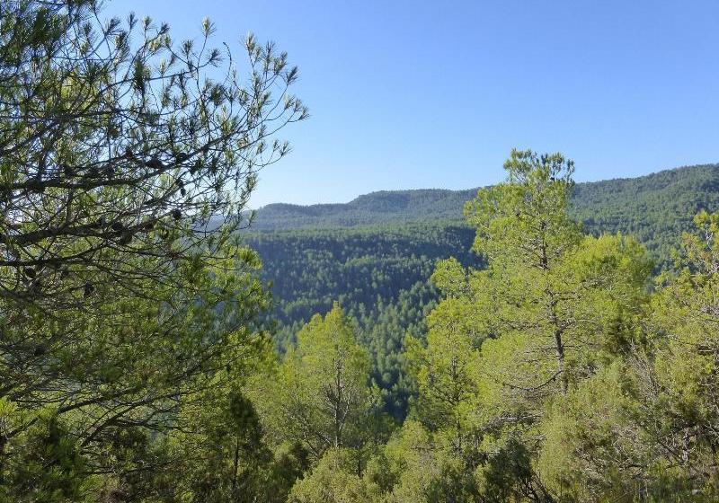 La Casa De Los Moyas