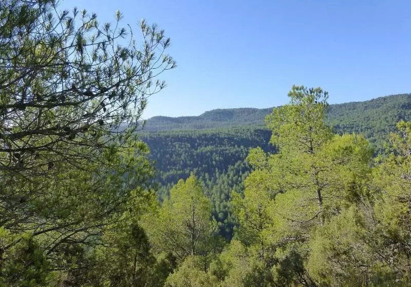 La Casa De Los Moyas