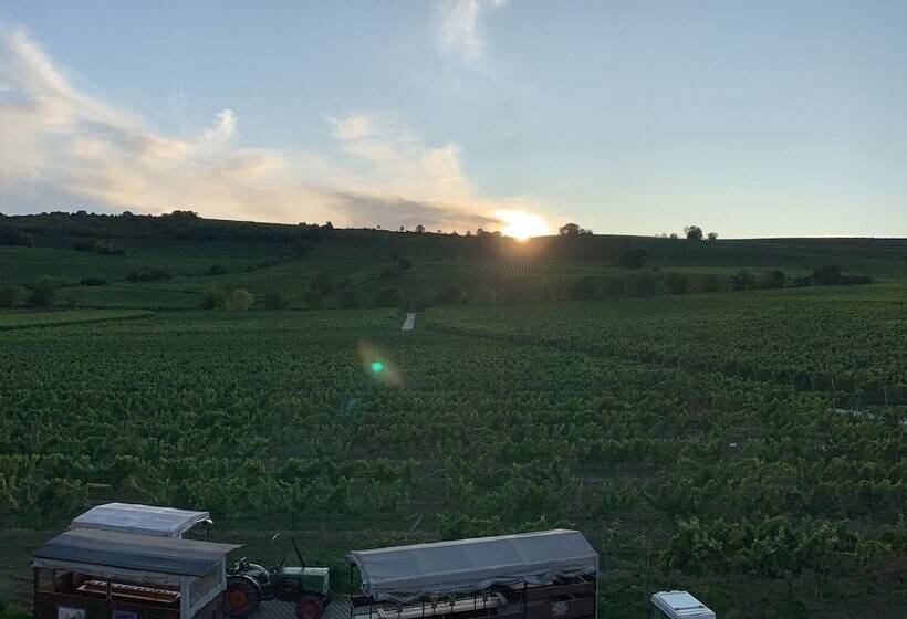 Oppenheim Ferienwohnung Martin