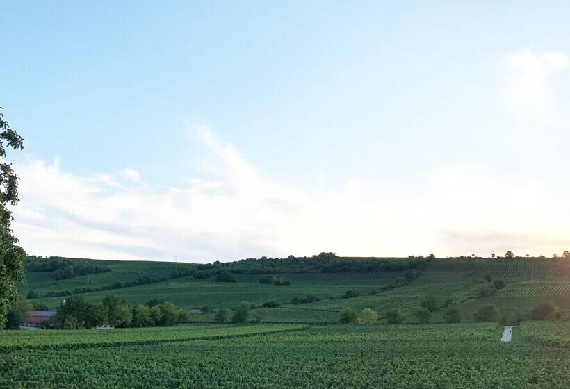 Oppenheim Ferienwohnung Martin