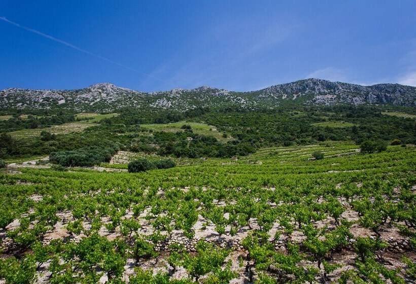 Apartments Villa Dingac Borak