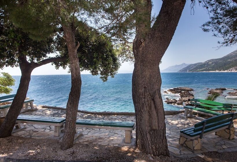 Apartments Villa Dingac Borak