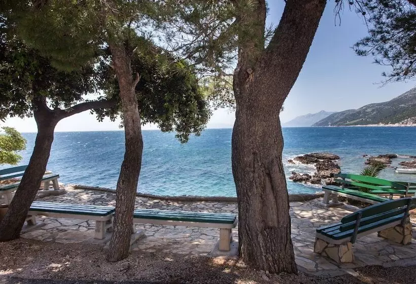 Apartments Villa Dingac   Borak