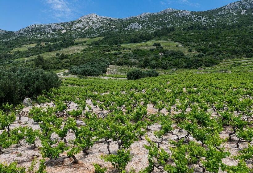 Apartments Villa Dingac Borak