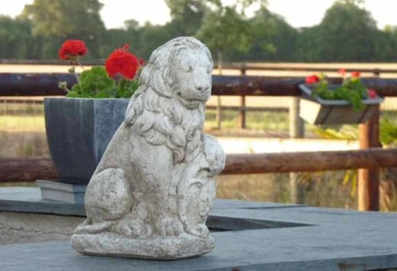 ベッドアンドブレックファースト Maison D Hotes Le Relais Du Haras