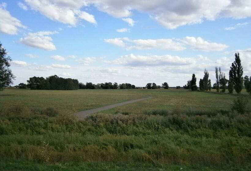 Alles Paletti Mit Klimaanlage