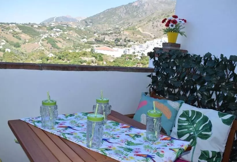 Olivo 15e   Terraza Y Vistas