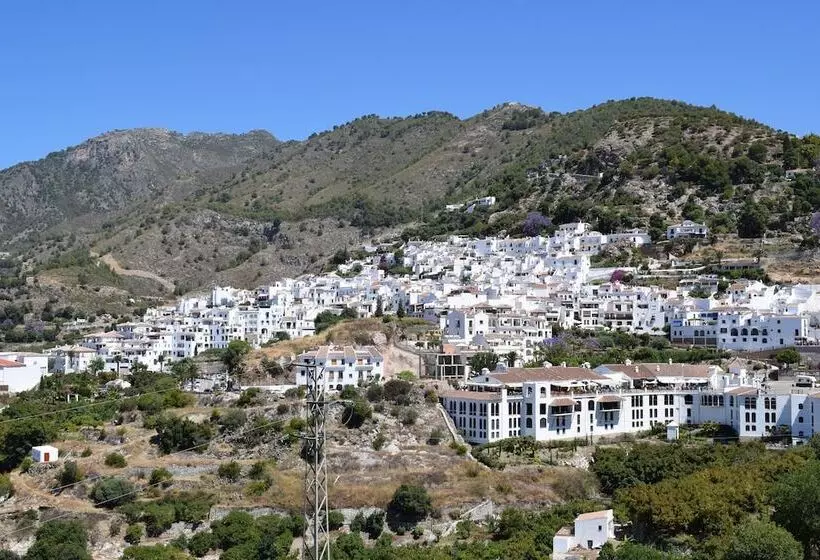 Olivo 15e   Terraza Y Vistas